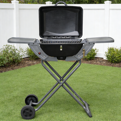 Barbecue à Gaz Camping Portable Pliable